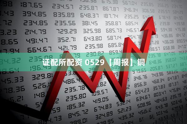 证配所配资 0529【周报】铜