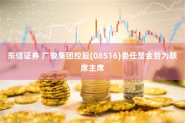 东信证券 广骏集团控股(08516)委任楚金哲为联席主席