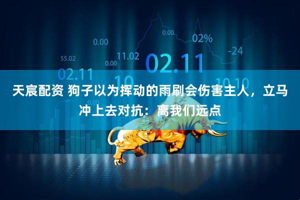 天宸配资 狗子以为挥动的雨刷会伤害主人，立马冲上去对抗：离我们远点