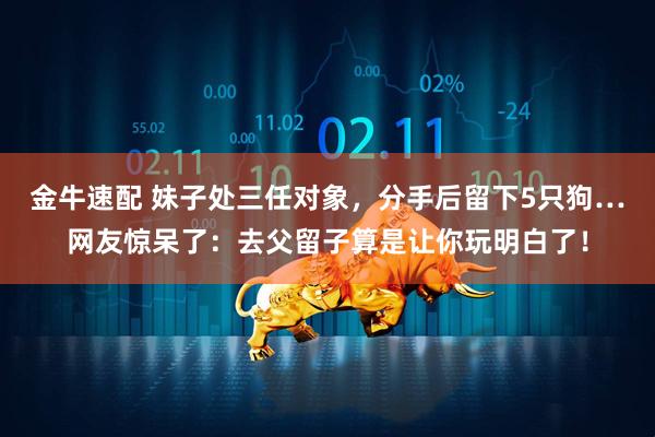 金牛速配 妹子处三任对象，分手后留下5只狗…网友惊呆了：去父留子算是让你玩明白了！
