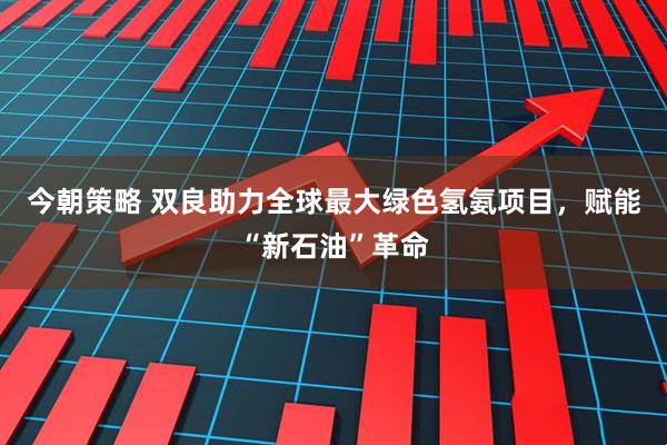 今朝策略 双良助力全球最大绿色氢氨项目，赋能“新石油”革命