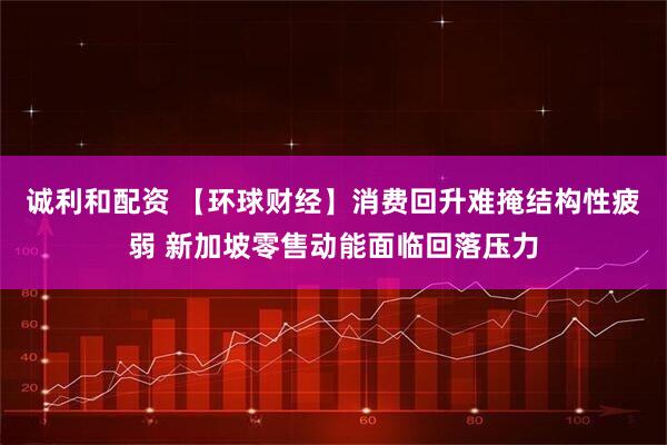 诚利和配资 【环球财经】消费回升难掩结构性疲弱 新加坡零售动能面临回落压力