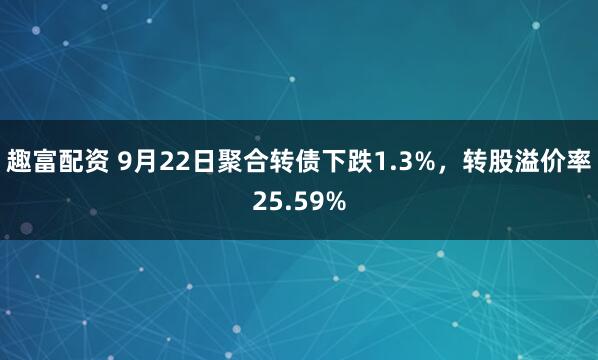 趣富配资 9月22日聚合转债下跌1.3%，转股溢价率25.59%